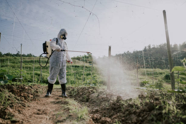 Best Best Pest Control Companies  in Silver Creek, NY